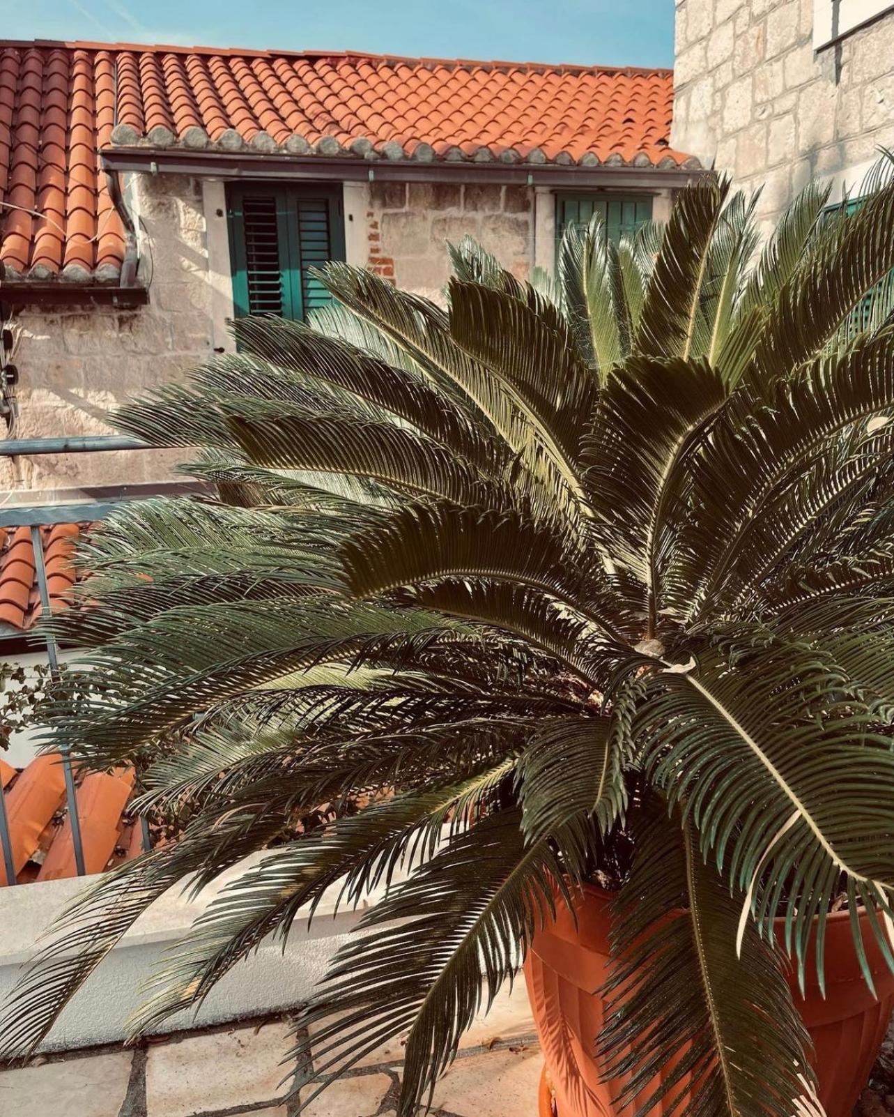 Villa Saint Lucas Split Extérieur photo